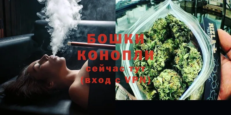 Каннабис SATIVA & INDICA  как найти закладки  Каменск-Шахтинский 